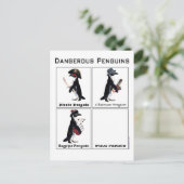 Carte Postale manchots dangereux (Debout devant)