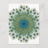 Mandala couleur Peacock Homme