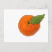 Carte Postale Mandarin avec feuille verte (Devant)