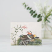 Carte Postale Mandarin Canard peinture chinoise (Debout devant)