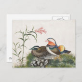 Carte Postale Mandarin Canard peinture chinoise (Devant / Derrière)