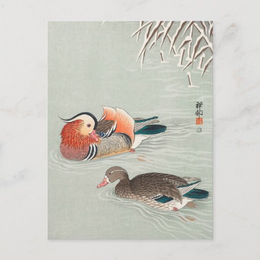Carte Postale Mandarin Canards Peinture par Ohara Koson (Devant)