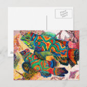 Carte Postale Mandarin Fish Art (Devant / Derrière)