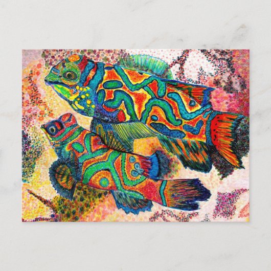 Carte Postale Mandarin Fish Art (Devant)