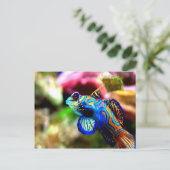Carte Postale Mandarinfish Synchiropus splendidus (Debout devant)