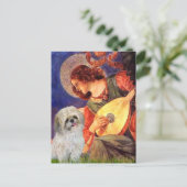 Carte Postale Mandolin Angel - Shih Tzu (P) (Debout devant)
