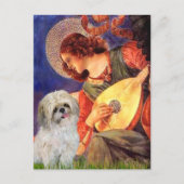 Carte Postale Mandolin Angel - Shih Tzu (P) (Devant)