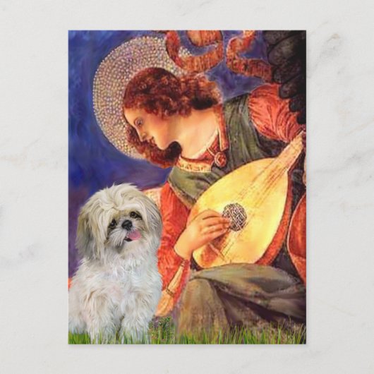 Carte Postale Mandolin Angel - Shih Tzu (P) (Devant)