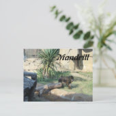 Carte Postale Mandrill (Debout devant)
