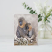 Carte Postale Mandrill et Young Postcard (Debout devant)