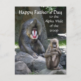 Carte postale Mandrill Monkey Fête des pères