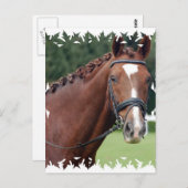 Carte postale Mane Cheval tressé (Devant / Derrière)