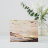 Carte Postale Manet | Asperges, 1880 (Debout devant)