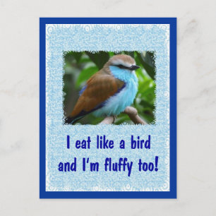 Carte Postale Mange comme un oiseau 2