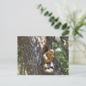 Carte Postale Mange tes carottes (Debout devant)