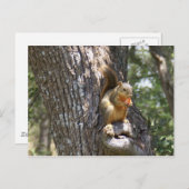 Carte Postale Mange tes carottes (Devant / Derrière)