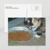 Carte Postale Manger au chaton (Devant / Derrière)