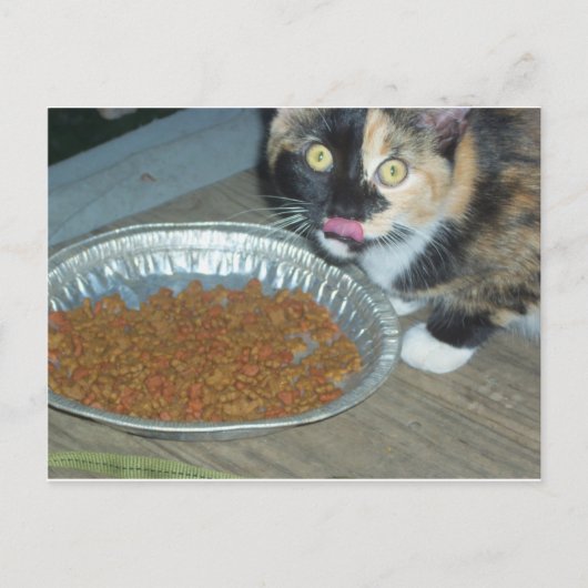 Carte Postale Manger au chaton (Devant)