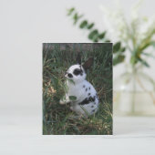 Carte Postale Manger des Verts (Debout devant)