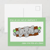 Carte Postale Manger un sandwich à l'éléphant (Devant / Derrière)