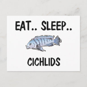 Carte Postale Mangez les CICHLIDS du sommeil