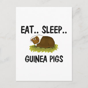 Carte Postale Mangez les PIÈCES GUINÉENNES du sommeil