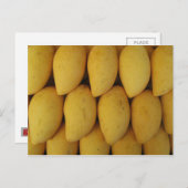 Carte Postale Mango (Devant / Derrière)