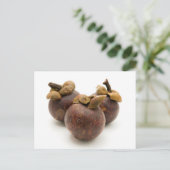Carte Postale Mangosteen violet (Debout devant)