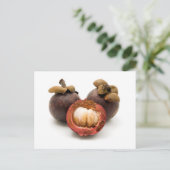 Carte Postale Mangosteen violet (Debout devant)
