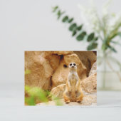 Carte Postale Mangouste se tenant grande (Debout devant)