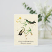 Carte Postale Mangrove Hummingbird Art Vintage (Debout devant)