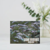 Carte Postale Manille Ocean Park (Debout devant)