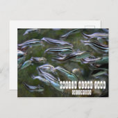 Carte Postale Manille Ocean Park (Devant / Derrière)