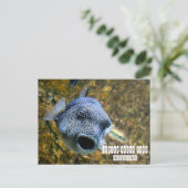 Carte Postale Manille Ocean Park aux Philippines (Debout devant)