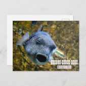 Carte Postale Manille Ocean Park aux Philippines (Devant / Derrière)