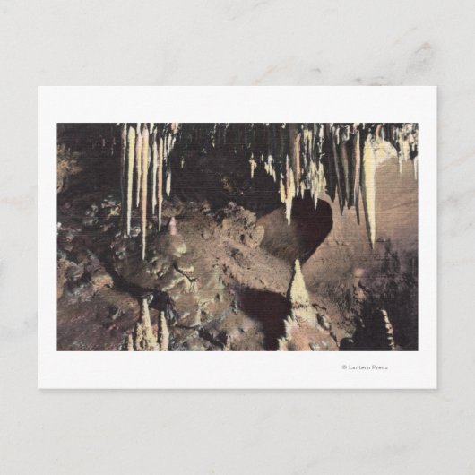 Carte Postale Manitou Springs, Colorado - Chambre de la nuptiale (Devant)