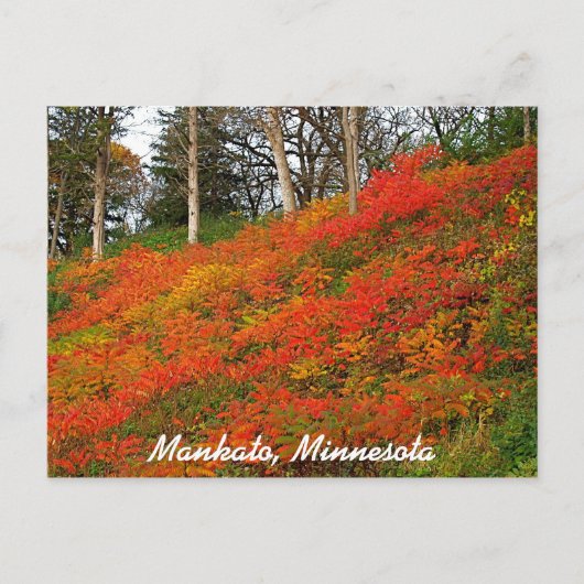 Carte Postale Mankato, Minnesota (Devant)