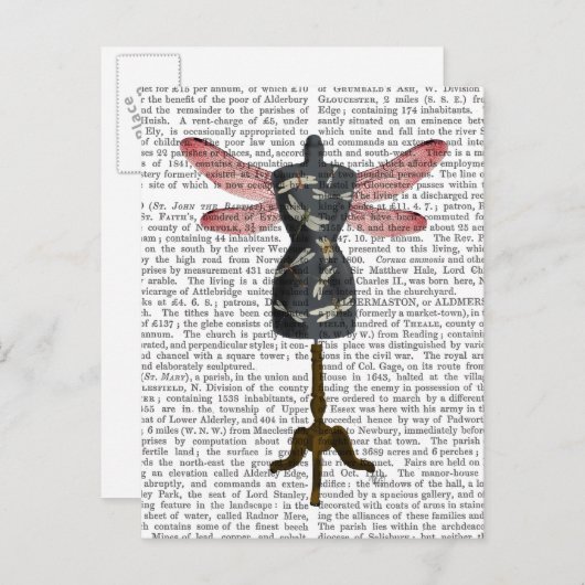 Carte Postale Mannequin libellule (Devant / Derrière)