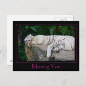 Carte postale manquante (Devant / Derrière)