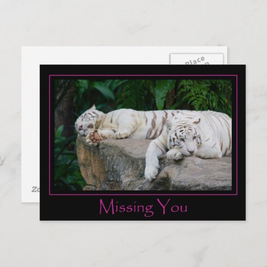 Carte postale manquante (Devant / Derrière)