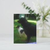 Carte postale manquante (Debout devant)