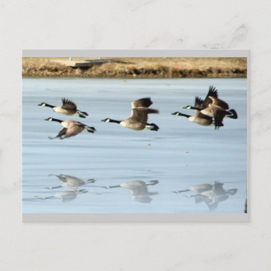 Carte postale manquante (Devant)