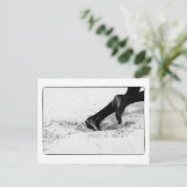 Carte Postale manque de sable (Debout devant)
