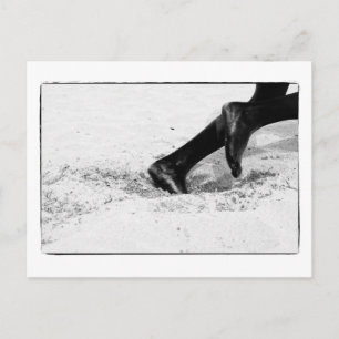 Carte Postale manque de sable