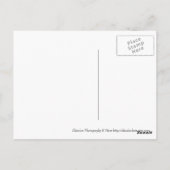 Carte Postale Manslaughter (Dos)