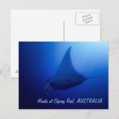 Carte postale Manta Ray (Devant / Derrière)