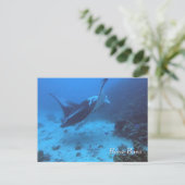 Carte Postale Manta Ray Rencounter Plongée à Bora Bora (Debout devant)