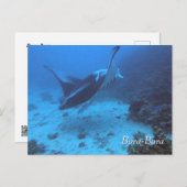 Carte Postale Manta Ray Rencounter Plongée à Bora Bora (Devant / Derrière)
