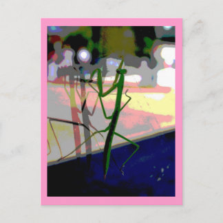 Carte Postale Mante de prière