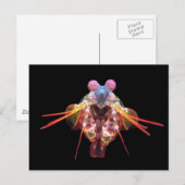 Carte Postale Mantis en noir (Devant / Derrière)